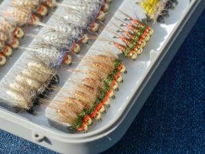 Home 465597913 9044295438927416 5873743636070656966 n