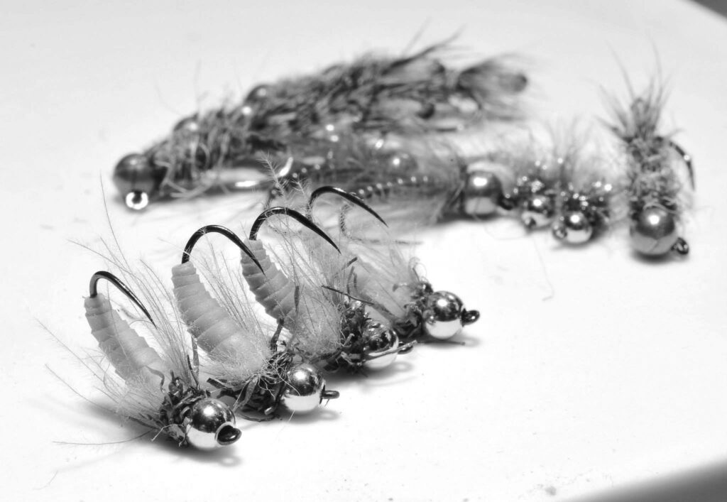 Home 10431165 825297740827268 4926828812561071240 o (1)