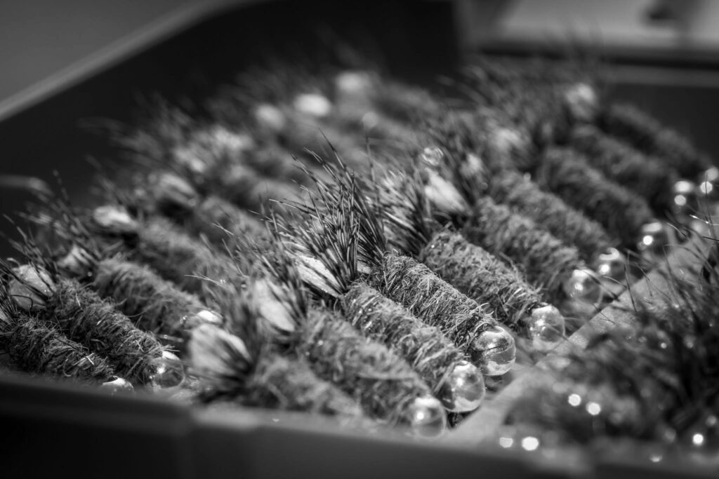 Home 12898168 1154074534616252 212360975772063571 o